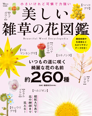 美しい雑草の花図鑑